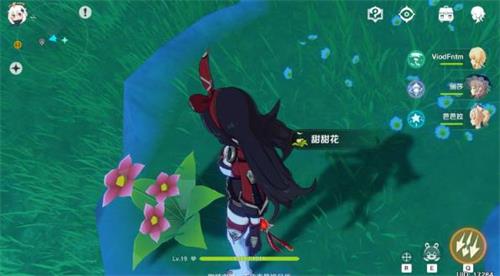 原神手游甜甜花在哪里