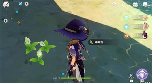 原神手游嘟嘟莲位置一览