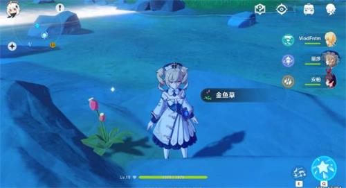 原神手游金鱼草在哪里