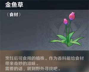 原神手游金鱼草在哪里