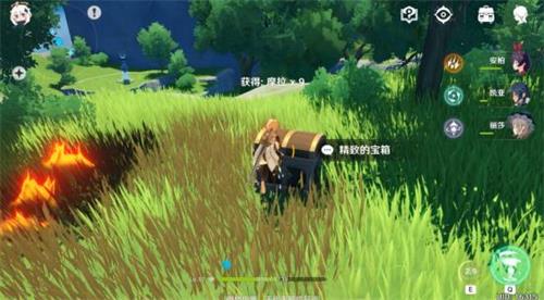 原神手游小灯草在哪里