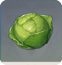 原神卷心菜什么用 卷心菜怎么获取