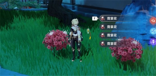 原神日落果采集地点作用讲解