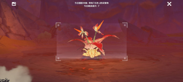 原神福至五彩活动拍照拍不了是怎么回事
