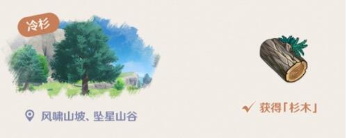 原神杉木在哪里