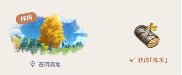 原神桦木刷新位置一览