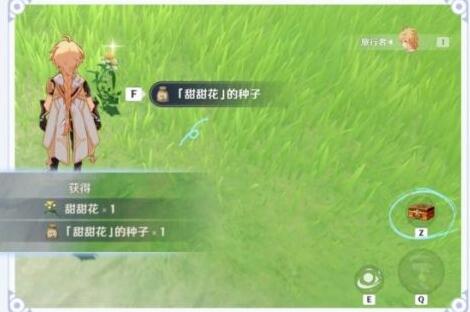 原神2.0家园种植系统可以种哪些植物