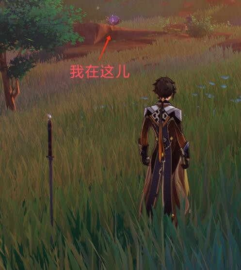 原神腐肉朽处花争妍八酝岛带电剑及雷种子位置