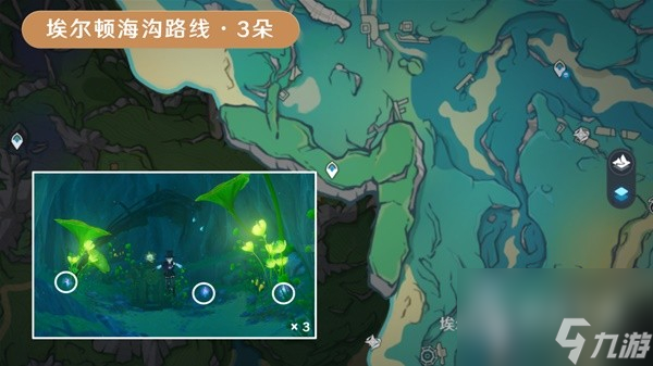 原神海露花采集路线一览