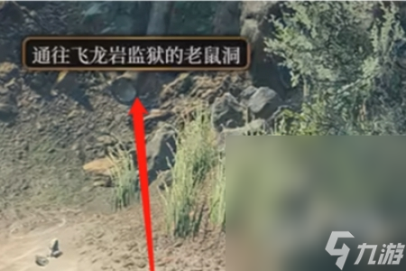《博德之门3》不寻常的头骨谜语对应位置一览