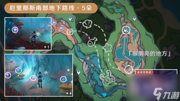 原神海露花采集路线一览