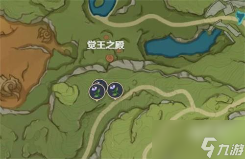 原神妮露突破材料帕蒂沙兰位置大全