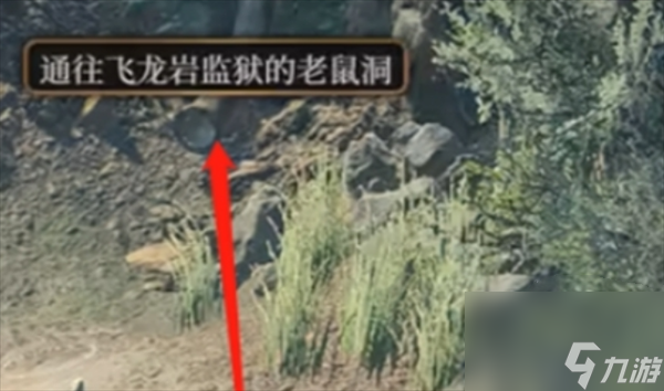 博德之门3不寻常的头骨谜语有什么用