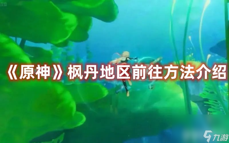 《原神》枫丹地区如何前往 丹地区前往技巧详解