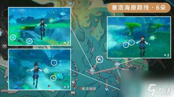 《原神》海露花采集路线分享