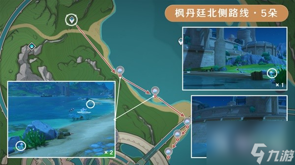 原神海露花采集路线一览