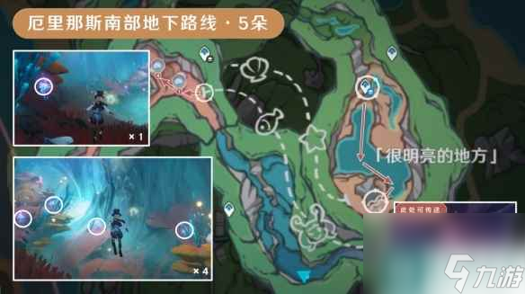 《原神》海露花采集路线分享