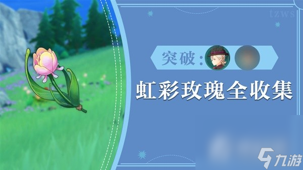 《原神》73个虹彩蔷薇采集路线分享