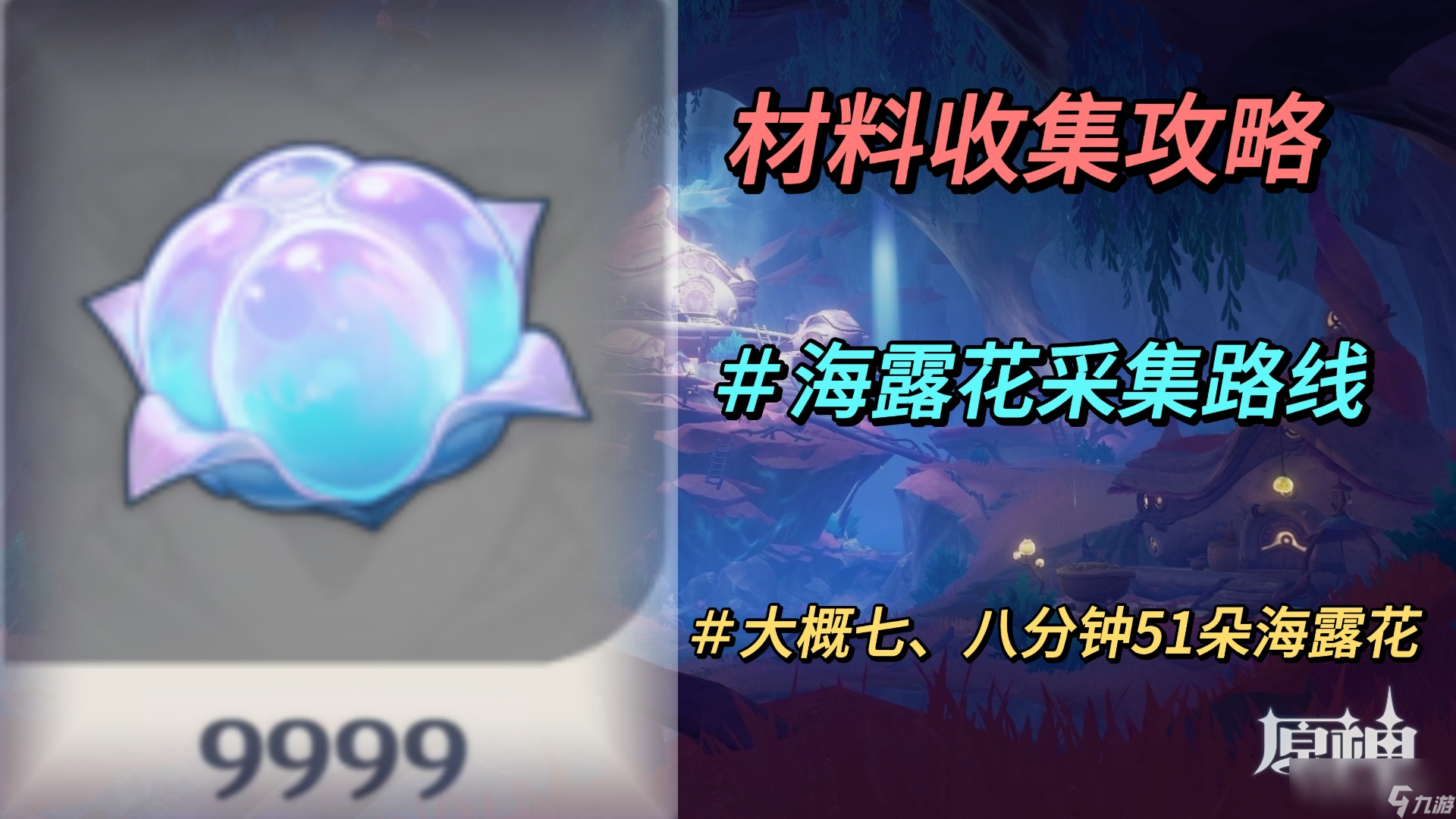 原神海露花采集路线