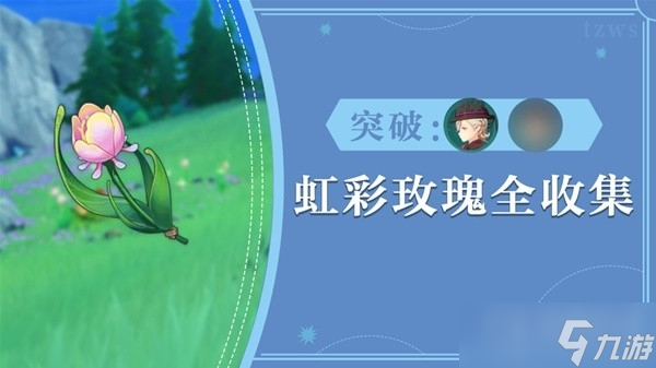 《原神》73个虹彩蔷薇采集路线分享