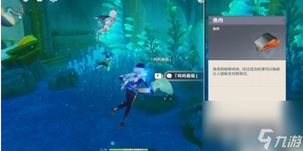 《原神》隐藏任务呜呜葡萄一任务如何完成 隐藏任务呜呜葡萄一任务玩法分享