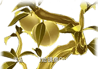 崩坏星穹铁道模拟宇宙第七世界全流派通关思路