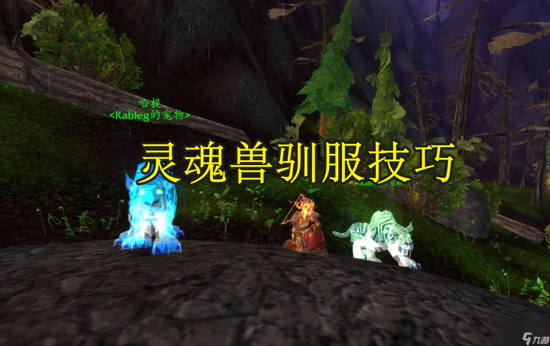 魔兽世界灵魂兽位置 抓捕灵魂兽技巧