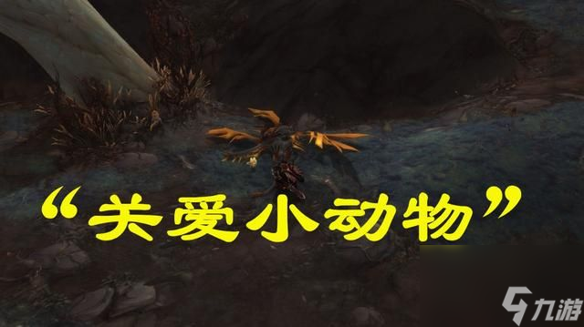 魔兽世界关爱小动物任务攻略关爱小动物任务流程介绍