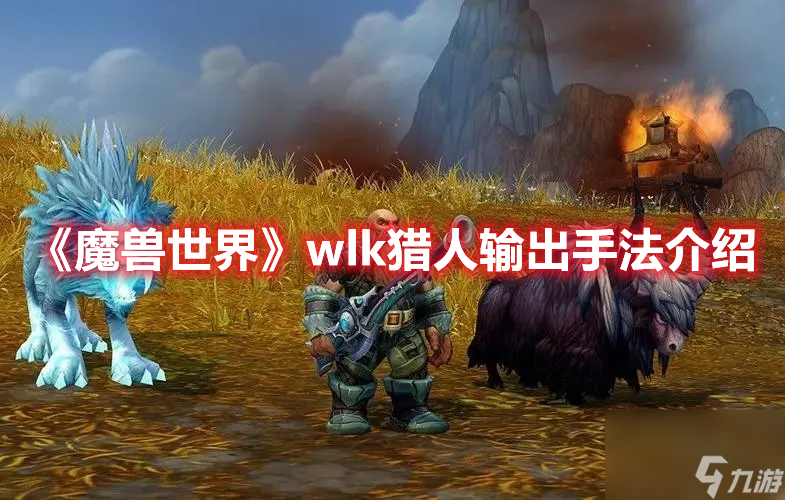 《魔兽世界》wlk猎人输出手法介绍