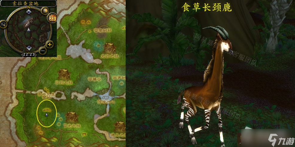 《魔兽世界》怀旧服猎人们的肉排任务怎么做
