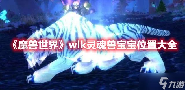 《魔兽世界》wlk灵魂兽宝宝位置大全
