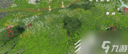 逆水寒仙居原4种动物好感度速刷方法