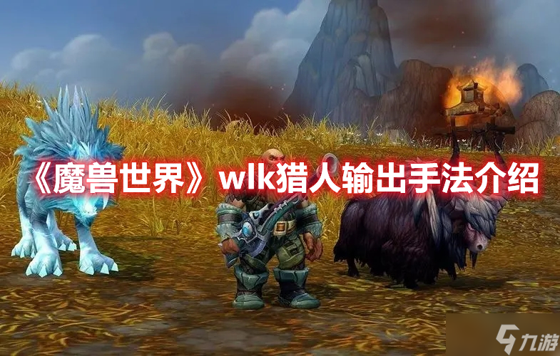 《魔兽世界》wlk猎人输出手法介绍