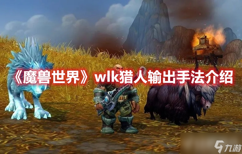 《魔兽世界》wlk猎人输出手法是什么？可以具体介绍一下吗？