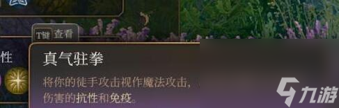 《博德之门3》散打僧怎样玩？散打僧工作玩法心得