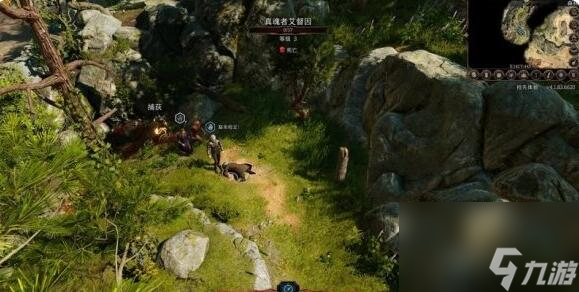 博德之门3第七章攻略第七章找到德鲁伊图文通关流程