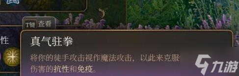 《博德之门3》散打僧怎么玩？散打僧职业玩法心得了解一下