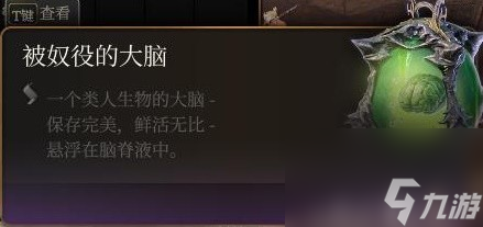 《博德之门3》装备与特别物品收集攻略