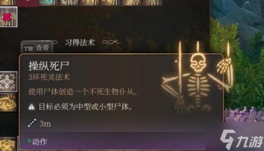 《博德之门3》生命牧师怎么玩？生命牧师职业bd推荐速参考