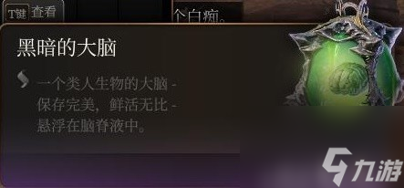 《博德之门3》装备与特别物品收集攻略