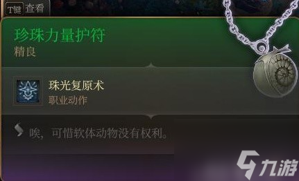 《博德之门3》装备与特别物品收集攻略