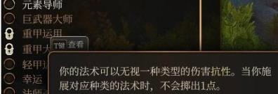 博德之门3法师搭配攻略 法师搭配什么法术好？
