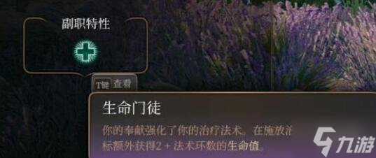 《博德之门3》生命牧师怎么玩？生命牧师职业bd推荐速参考