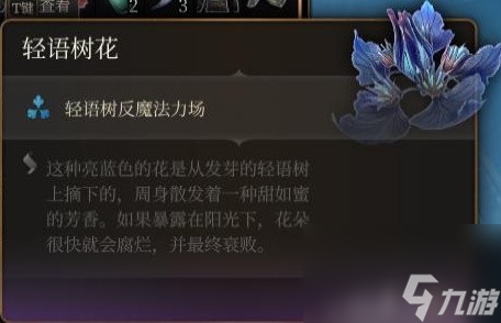 《博德之门3》装备与特别物品收集攻略