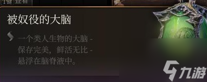 博德之门3被奴役的大脑有什么用,博德之门3被奴役的大脑作用介绍