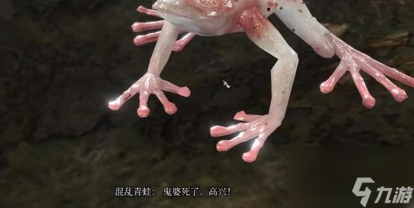 博德之门3混沌青蛙的奖励获得方法