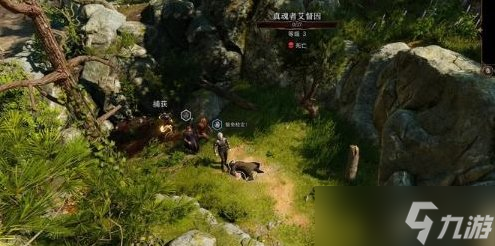 《博德之门3》主线找到德鲁伊怎么过 主线任务找到德鲁伊攻略