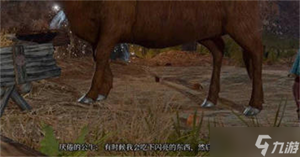 博德之门3公牛对话小袋子怎么获得的