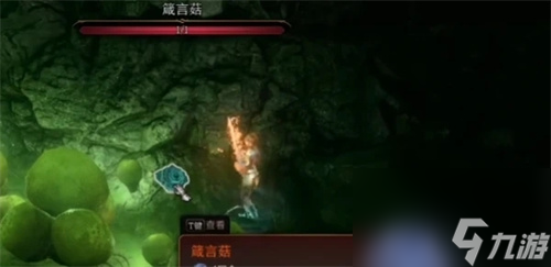 博德之门3箴言菇只有一个吗