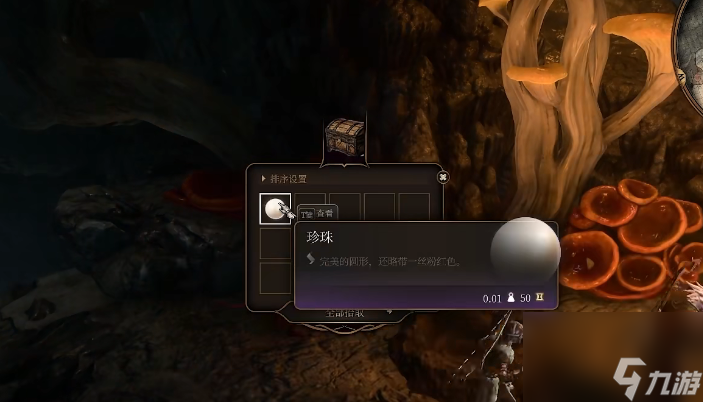 博德之门3鱼人村宝箱在哪里